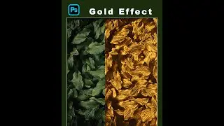 How to Create Gold Effect in Photoshop?