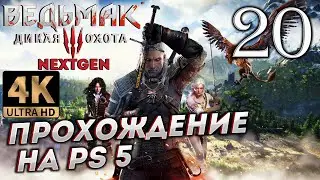 Обновленный Ведьмак 3: Дикая Охота на PS5 в 4К # 20 ✦СТРИМ ПРОХОЖДЕНИЕ✦