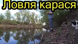 Рыбалка на карася. Супер клёв май 2021