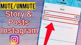 How to Mute/Unmute Posts or Stories on Instagram