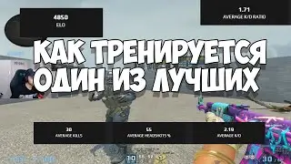 КАК ТРЕНИРУЕТСЯ ОДИН ИЗ ЛУЧШИХ? D0cC | Перевод тренировки [CSGO]