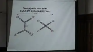 Капитонов И. М. - Физика атомного ядра и частиц - Квантовые электродинамика и хромодинамика