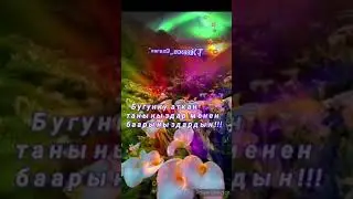 Т. Казаков ,,Сен кайдасын бул кундо, мен кайдамын