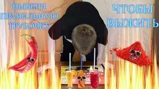 ВЫБЕРИ ПРАВИЛЬНУЮ ТРУБОЧКУ, ЧТОБЫ ВЫЖИТЬ !