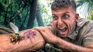 LA PIRE DOULEUR ? (Frelon Asiatique VS Fourmi Balle de Fusil)