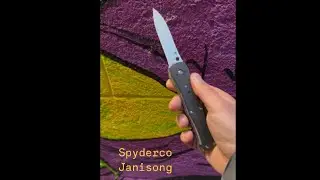 Michael Janich & the Janisong – Unique Look & Interviews!