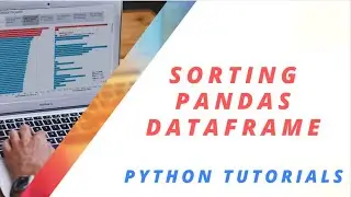 Pandas Sort DataFrame By Index | Pandas DataFrame Sort By Column | Pandas DataFrame Sort Example