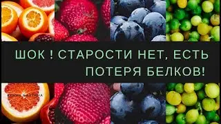Шок! Старости нет, есть потеря белков!