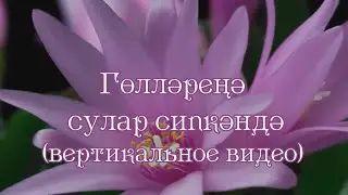 Гөлләреңә сулар сипкәндә - Когда поливаю твои цветы (шигырь). Вертикальное видео