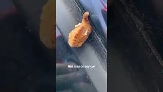 Хто это??????