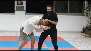 Shifu Bluestein  |  Pigua and Xing Yi for Self-Defense In-Depth Instruction