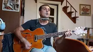 Tim - Другий вихід (авторська пісня)Ukrainian Blues