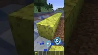 Sponge Sounds