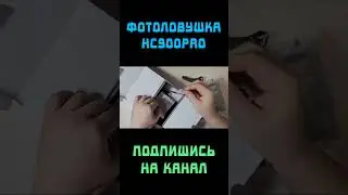 мини камера для наблюдения 🔥