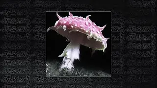 amanita muscaria | kurt92 x zavet x BROCKHAMPTON type beat | бит в стиле завет | 160bpm