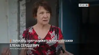 ТАРАКАНЫ ЗАМУЧАЛИ ЖИТЕЛЕЙ МНОГОЭТАЖКИ