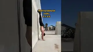 Beginner HSPU workout