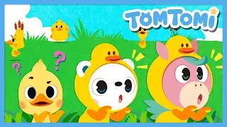 Baby Duckling🐤 | Quack quack quack | Let's find our mommy and daddy! | Animal Song | TOMTOMI