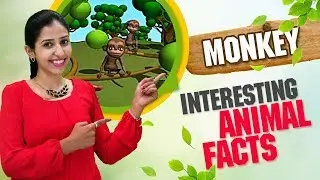 Interesting Animal Facts : Monkey | Monkey Essay English | Monkey Facts, Song, Story | Learn Animals