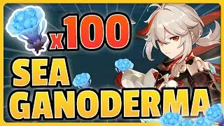 100 SEA GANODERMA EFFICIENT FARM IN 10 MINS !  (SPEEDRUN ROUTE) | Genshin Impact