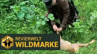 REVIERWELT - Die Revierwelt Wildmarke nutzen