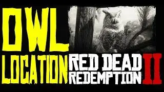 Red Dead Redemption II Owl Location