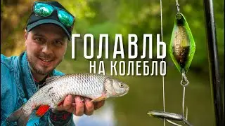 ГОЛАВЛЬ НА БЛЕСНЫ! Майский толстяк НА КОЛЕБАЛКИ. Рыбалка на малой реке с TENRYU RAYZ 632S-L.