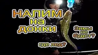 НАЛИМ осенью на ДОНКУ / опять раздача / последняя рыбалка на закидушку? 2017