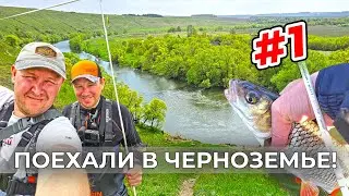 ЗА ГОЛАВЛЁМ И ЖЕРЕХОМ В ЧЕРНОЗЕМЬЕ #1