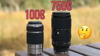 Best APS-C Zoom Lens? Sony 70-350 mm vs. 55-210 mm - Image comparison - It's worth the price diff.?