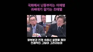 국회에서 난동부리는 이재명 귀싸대기 갈기는 조태열