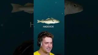 The Ocean is Way Deeper Than You Think