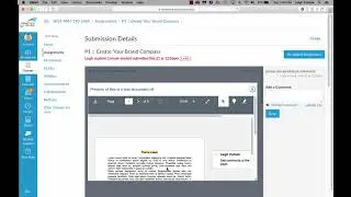 Canvas grading annotations (pertains to any class)