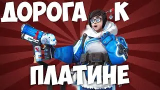 Дорога к платине Overwatch! мей / золото / овервотч