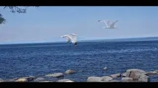 Байкал