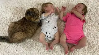 СРАВНИВАЕМ РЕБОРНОВ  #reborn #реборн #newborn #рекомендации
