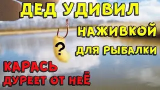 Дедовская наживка для рыбалки на карася
