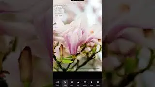 Editing Tutorial: Flower Photos Edition 💐 #lightroom #shorts ​