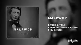 Bruce Little -  Malpwop