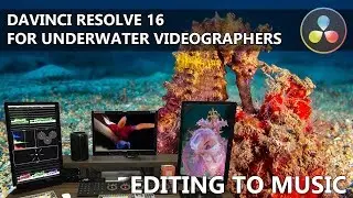 DaVinci Resolve for Underwater Videographers - Editing Music