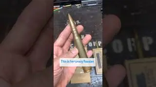 If you were a Sniper cartridge…