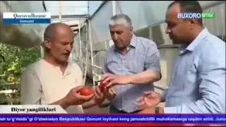 ⏺ Қоровулбозор тумани фермер, деҳқон хўжаликлар ва томорқа ер эгалари кенгаши ташаббуси билан