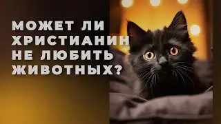 Может ли христианин, который не любит животных, быть спасён и наследовать жизнь вечную?