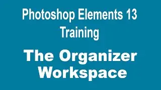 Photoshop Elements 13 Tutorial - The Photoshop Elements Organizer Workspace
