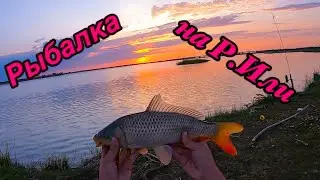 РЕКА ИЛИ , РЫБАЛКА НА САЗАНА !!!