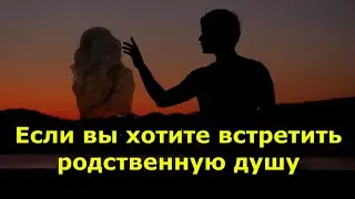 Если вы действительно хотите встретить родственную душу, начните делать эти пять вещей.