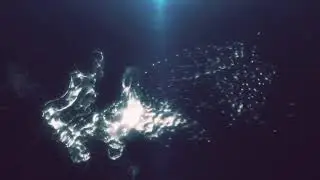 Water Animation After Effects | Tutorial using Trapcode Particular