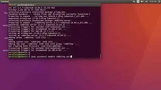 Installing RabbitMQ on Linux