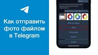 Как отправить фото файлом в Telegram (отправка фотографии как файл в Телеграме)