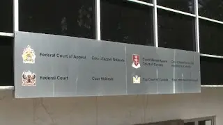 Tax Court of Canada closes Hamilton location due to rising gun violence